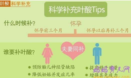 Ҷ��������빦Ч